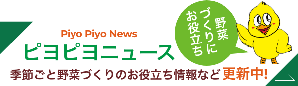ピヨピヨニュース