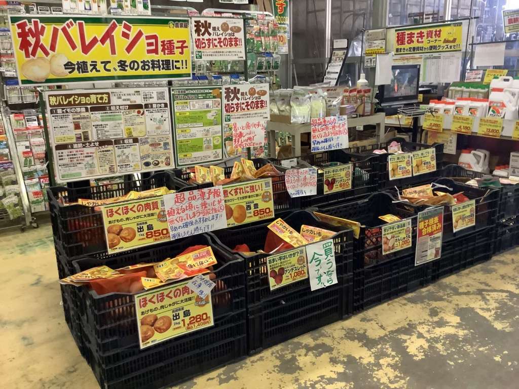 秋じゃがいも🥔　入荷中！！
