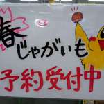 春馬鈴薯予約受付はじまりました。