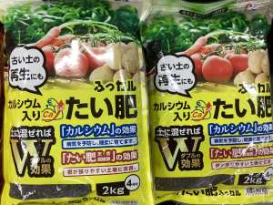 春バレイショの植え付け時期本番