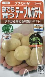 ２月にまけるオススメの種のご紹介